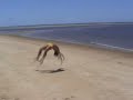 saltos na praia( formado pestana)