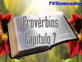 Provérbios - Cap. 7