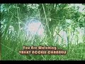 Psycadelic Nature