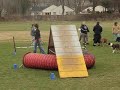 APRIL FIRST AGILITY