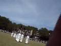 Scandal in Borromeo Field