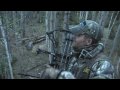 Alberta Black Bear hunt