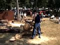 McCulloch BP1 chainsaw