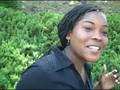 Aug 06 2008 - VID00026