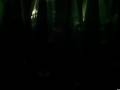 videos de Fish AIDS