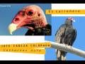 Taller de Biodiversidad