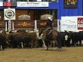 2009-NCHA-Classic-Ch