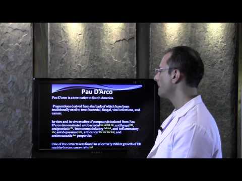 YouTube Preview Image