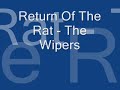 Return Of The Rat - The Wipers