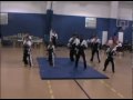 Dunamis Karate Demo Team