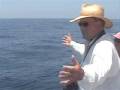 Shatner Sings to the Whales