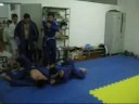 ippons