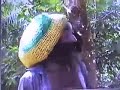Bongo Law - Rastafari Elder