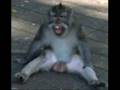 videos de southcrew davao ATHAN