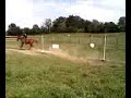 Polebending Bareback Polebending Bareback