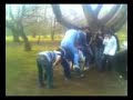 Enfield college uzun esek