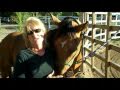 Jeff Shelton - Horseman