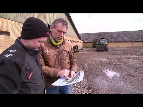 Bio-Revolution in Dänemark: Fonds übernimmt Pleitehöf ...