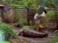 Videos de rir com cem quedas!