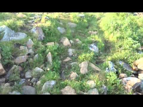 YouTube &ETH;&cent;&Ntilde;&ETH;&micro;&ETH;&sup1;&ETH;&raquo;&ETH;&micro;&Ntilde;