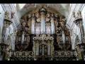 Leżajsk - XVII ct pipe organ - JS Bach, Toccata and Fugue in d minor, BWV 565