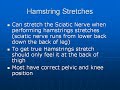 Posture Exercises - Hamstring Stretches