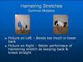 Posture Exercises - Hamstring Stretches
