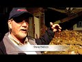 Rogersville Tenn.'s Hale Springs Inn Collapses