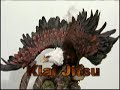 kiai jitsu self defense: no touch blocks and parries
