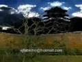 Shpongle - Divine moments of truth (hallucinogen remix)