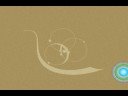 Animation logo Animation logo