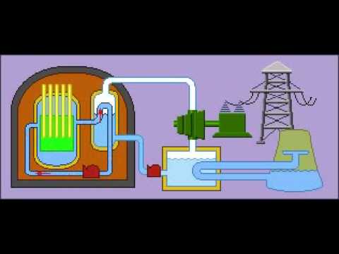 Pressurized Water Reactors (PWR) and Boiling Water Reactors (BWR 