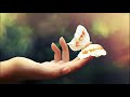 Stan Kolev - Feeling You (Original Mix)