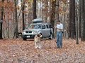 Benny and Boomer under the falling leaves