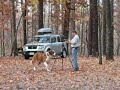 Benny and Boomer under the falling leaves