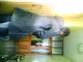 Bayma