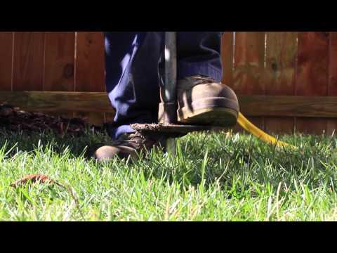 how to deep root fertilize a tree