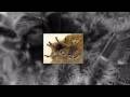 videos de Lasiodora difficilis HD picture slideshow 003