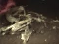 Crash Scene - Pan Am 103 Explosion - Lockerbie