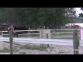 Fiona Schooling Xrail-3'3