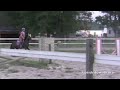 Fiona Schooling Xrail-3'3