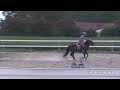 Fiona Schooling Xrail-3'3
