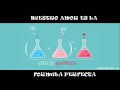VIDA   ALCON POMABAMBINO