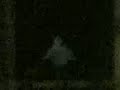 Real ghost(avo)