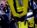 Bumblebee
