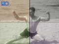mohamed gym