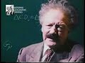 El cerebro de Albert Einstein (II de II)