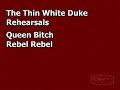 david bowie queen bitch and rebel rebel