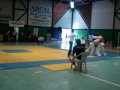 mairson protetor azul