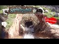 Splash Mountain (HD Front-Seat POV) Disneyland California